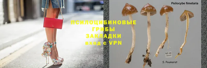 это наркотические препараты  Мурино  Псилоцибиновые грибы Magic Shrooms 